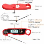 Oven Thermometer – 2